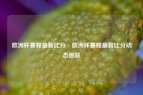 欧洲杯赛程最新比分⚾欧洲杯赛程最新比分动态追踪