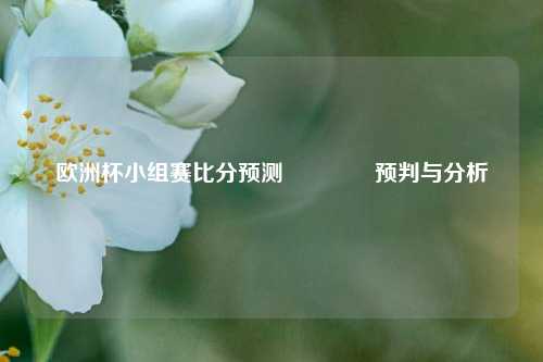欧洲杯小组赛比分预测🥉预判与分析