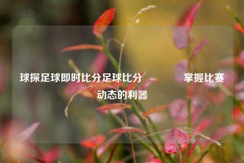 球探足球即时比分足球比分🏐掌握比赛动态的利器