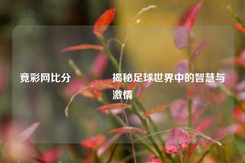 竟彩网比分🌈揭秘足球世界中的智慧与激情