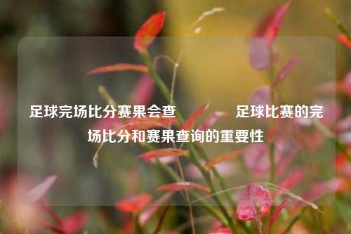 足球完场比分赛果会查🏀足球比赛的完场比分和赛果查询的重要性