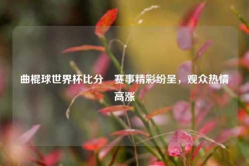 曲棍球世界杯比分⚾赛事精彩纷呈，观众热情高涨