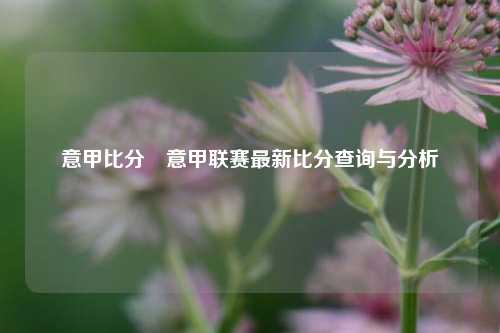 意甲比分⚽意甲联赛最新比分查询与分析
