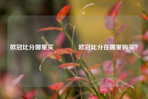 欧冠比分哪里买🥉欧冠比分在哪里购买？