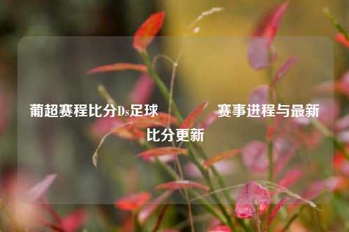 葡超赛程比分Ds足球🏆赛事进程与最新比分更新