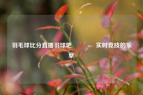 羽毛球比分直播羽球吧🥉实时竞技的乐章