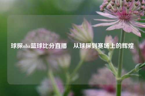 球探nba篮球比分直播⚾从球探到赛场上的辉煌