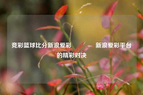 竞彩篮球比分新浪爱彩🏆新浪爱彩平台的精彩对决