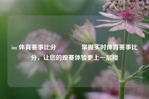 im 体育赛事比分👉掌握实时体育赛事比分，让您的观赛体验更上一层楼