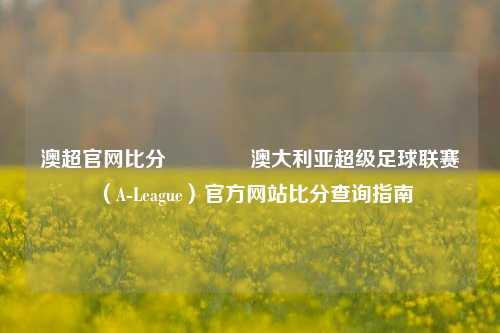澳超官网比分🏆澳大利亚超级足球联赛（A-League）官方网站比分查询指南