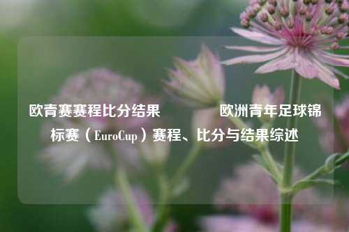 欧青赛赛程比分结果👈欧洲青年足球锦标赛（EuroCup）赛程、比分与结果综述