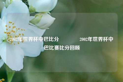 2002年世界杯中巴比分🏅2002年世界杯中巴比赛比分回顾
