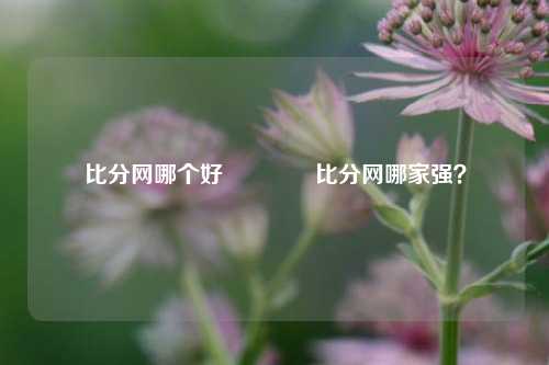 比分网哪个好🏐比分网哪家强？