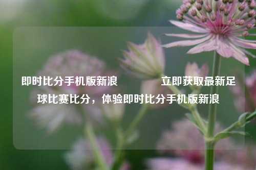 即时比分手机版新浪👈立即获取最新足球比赛比分,体验即时比分手机版新浪