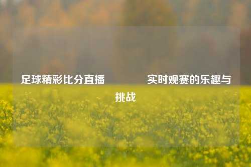 足球精彩比分直播🥈实时观赛的乐趣与挑战