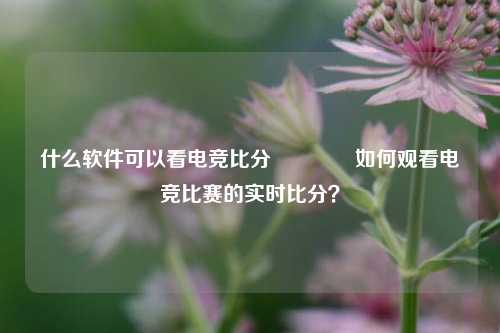 什么软件可以看电竞比分🏀如何观看电竞比赛的实时比分？