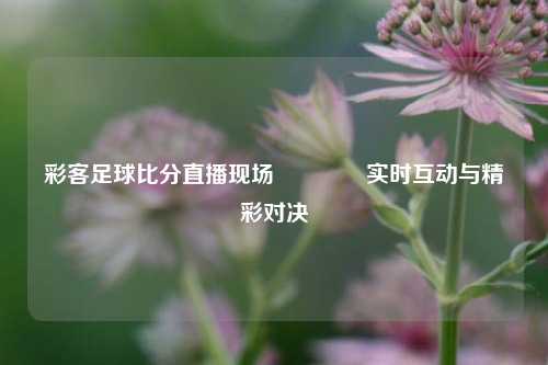 彩客足球比分直播现场🌈实时互动与精彩对决