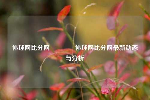 体球网比分网🥉体球网比分网最新动态与分析