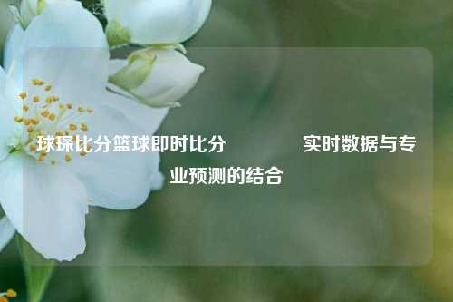 球琛比分篮球即时比分🏅实时数据与专业预测的结合