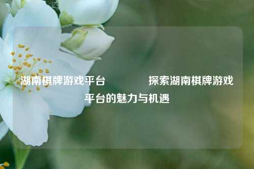 湖南棋牌游戏平台👍探索湖南棋牌游戏平台的魅力与机遇
