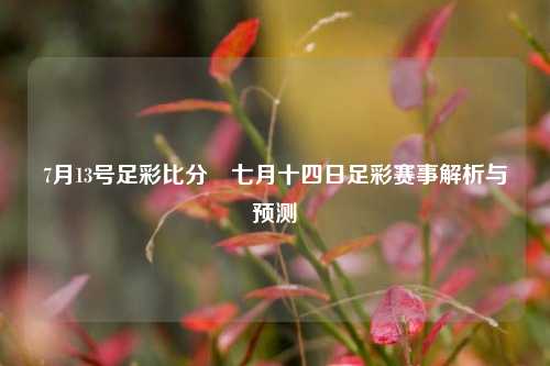 7月13号足彩比分⚽七月十四日足彩赛事解析与预测