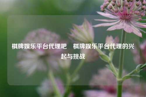 棋牌娱乐平台代理吧⚾棋牌娱乐平台代理的兴起与挑战