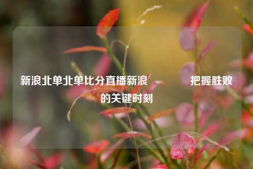 新浪北单北单比分直播新浪👍把握胜败的关键时刻