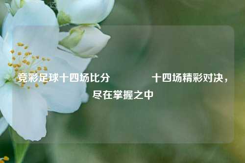 竞彩足球十四场比分🥈十四场精彩对决，尽在掌握之中