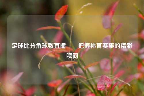 足球比分角球数直播✌️把握体育赛事的精彩瞬间
