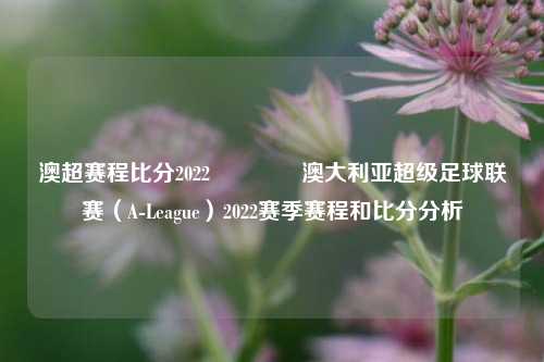 澳超赛程比分2022🏐澳大利亚超级足球联赛（A-League）2022赛季赛程和比分分析