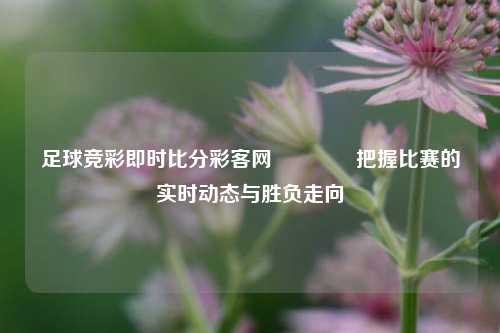 足球竞彩即时比分彩客网🥉把握比赛的实时动态与胜负走向