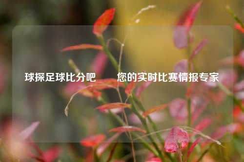 球探足球比分吧✌️您的实时比赛情报专家
