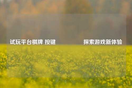 试玩平台棋牌 按键🎖️探索游戏新体验