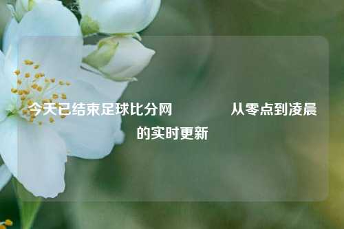 今天已结束足球比分网🥉从零点到凌晨的实时更新