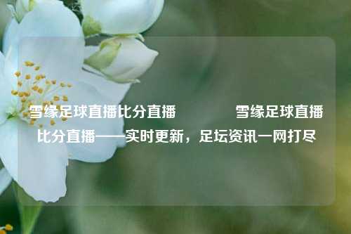 雪缘足球直播比分直播🥇雪缘足球直播比分直播——实时更新，足坛资讯一网打尽