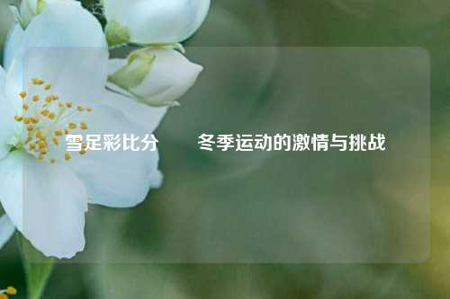 雪足彩比分✌️冬季运动的激情与挑战