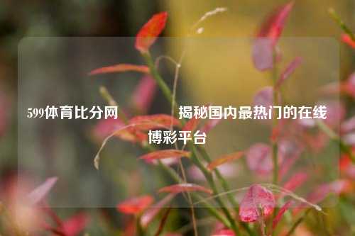 599体育比分网🥎揭秘国内最热门的在线博彩平台