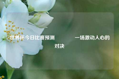 世界杯今日比赛预测🥎一场激动人心的对决