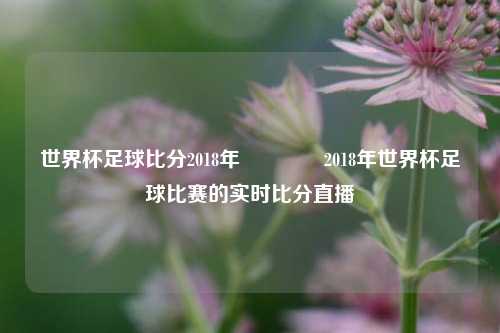 世界杯足球比分2018年👉2018年世界杯足球比赛的实时比分直播