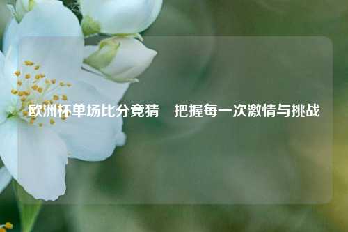欧洲杯单场比分竞猜⚾把握每一次激情与挑战