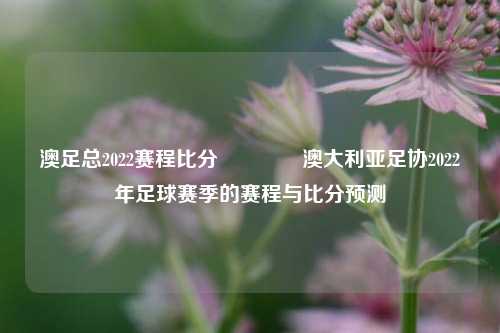 澳足总2022赛程比分🏀澳大利亚足协2022年足球赛季的赛程与比分预测