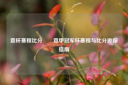意杯赛程比分✌️意甲冠军杯赛程与比分追踪指南