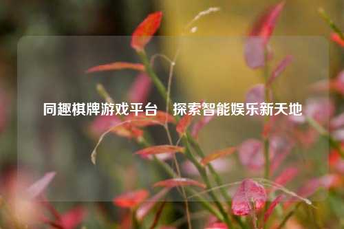 同趣棋牌游戏平台⚽探索智能娱乐新天地