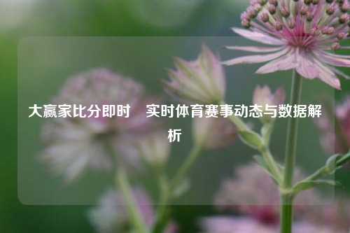 大赢家比分即时⚽实时体育赛事动态与数据解析