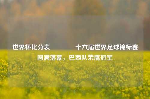 世界杯比分表🥈十六届世界足球锦标赛圆满落幕，巴西队荣膺冠军