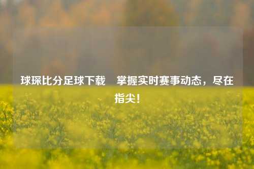 球琛比分足球下载⚾掌握实时赛事动态，尽在指尖！