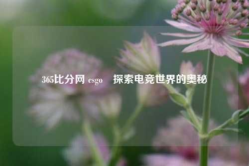 365比分网 csgo⚾探索电竞世界的奥秘