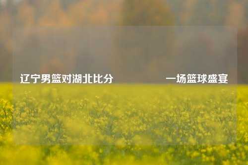 辽宁男篮对湖北比分🎖️一场篮球盛宴