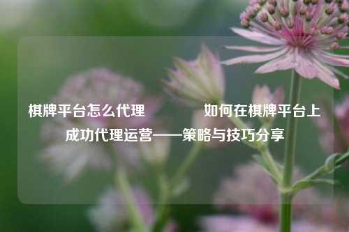 棋牌平台怎么代理👈如何在棋牌平台上成功代理运营——策略与技巧分享