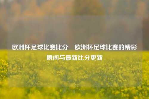 欧洲杯足球比赛比分⚾欧洲杯足球比赛的精彩瞬间与最新比分更新